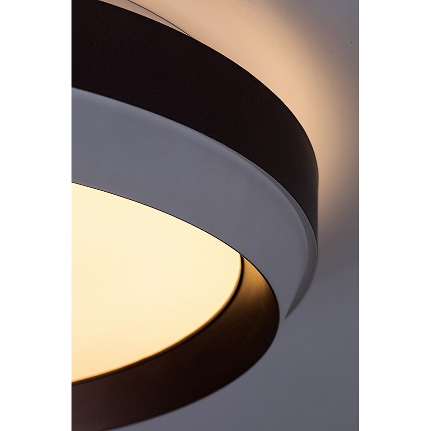 Rabalux - LED Stropna svetilka LED/24W/230V 3000K