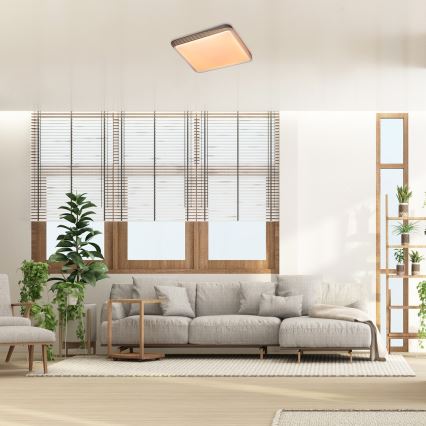 Rabalux - LED Stropna svetilka LED/40W/230V 3000K
