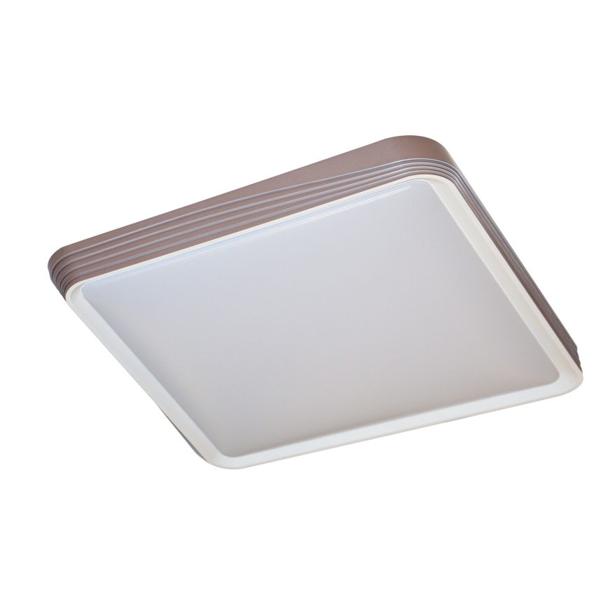 Rabalux - LED Stropna svetilka LED/40W/230V 3000K