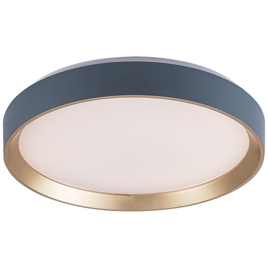 Rabalux - LED Stropna svetilka LED/25W/230V 3000K pr. 38 cm