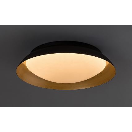 Rabalux - LED Stropna svetilka LED/24W/230V 3000K pr. 40 cm