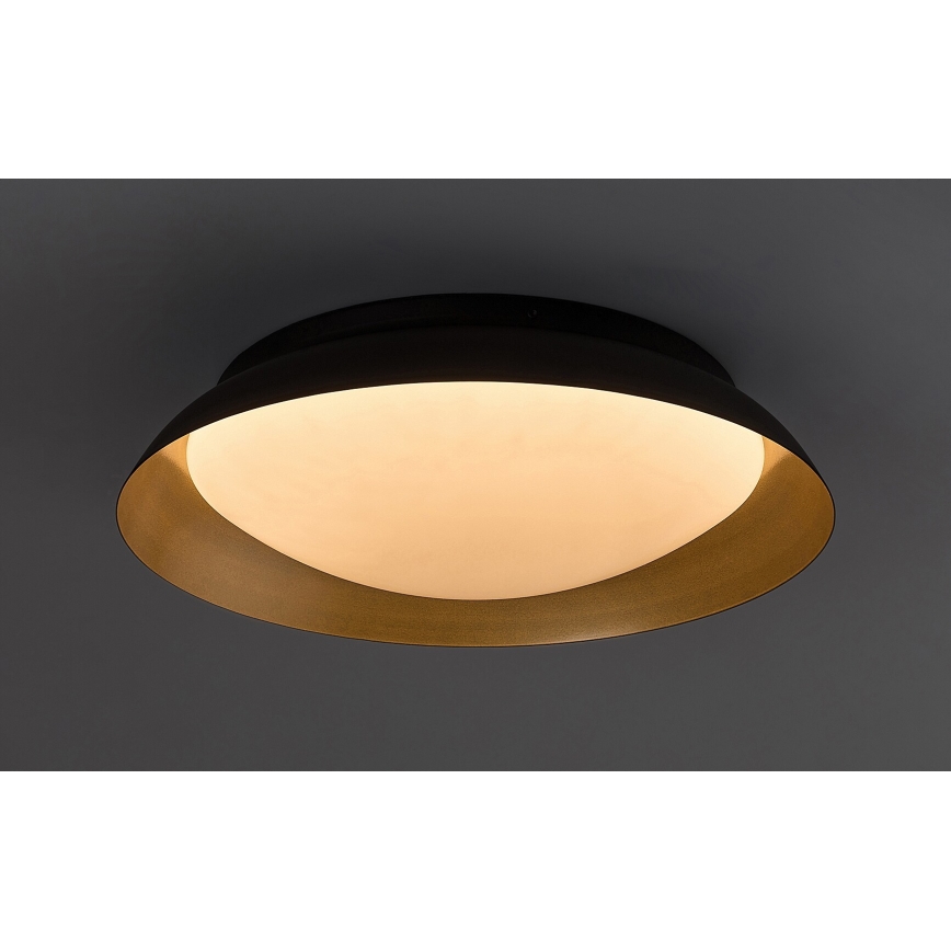 Rabalux - LED Stropna svetilka LED/24W/230V 3000K pr. 40 cm