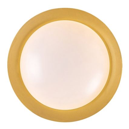 Rabalux - LED Stropna svetilka LED/24W/230V 3000K pr. 40 cm