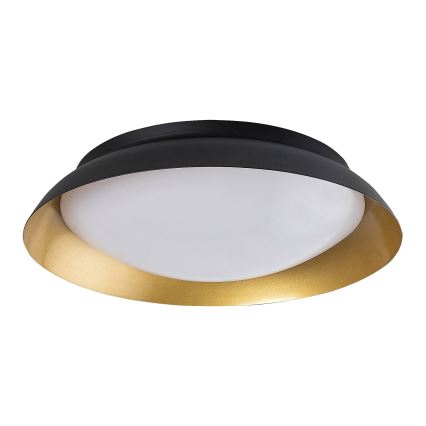 Rabalux - LED Stropna svetilka LED/24W/230V 3000K pr. 40 cm