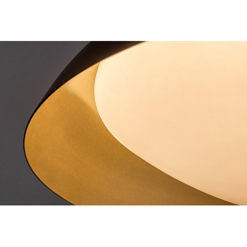 Rabalux - LED Stropna svetilka LED/24W/230V 3000K pr. 40 cm