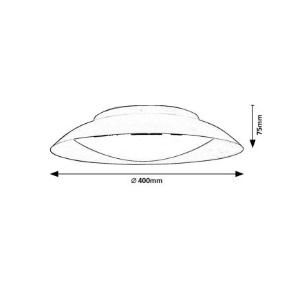 Rabalux - LED Stropna svetilka LED/24W/230V 3000K pr. 40 cm