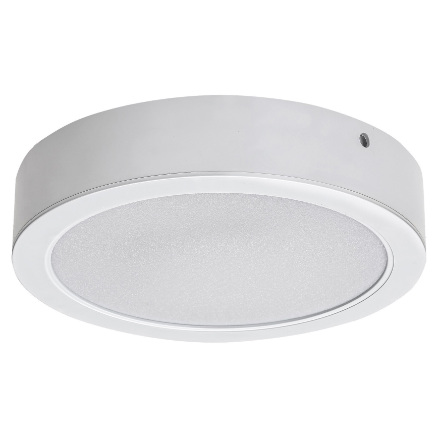 Rabalux - LED Stropna svetilka LED/7W/230V 4000K pr. 12 cm bela