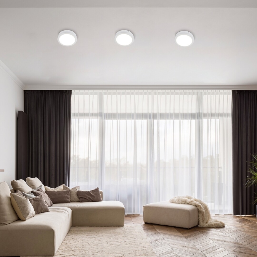 Rabalux - LED Stropna svetilka LED/24W/230V 4000K pr. 22 cm bela