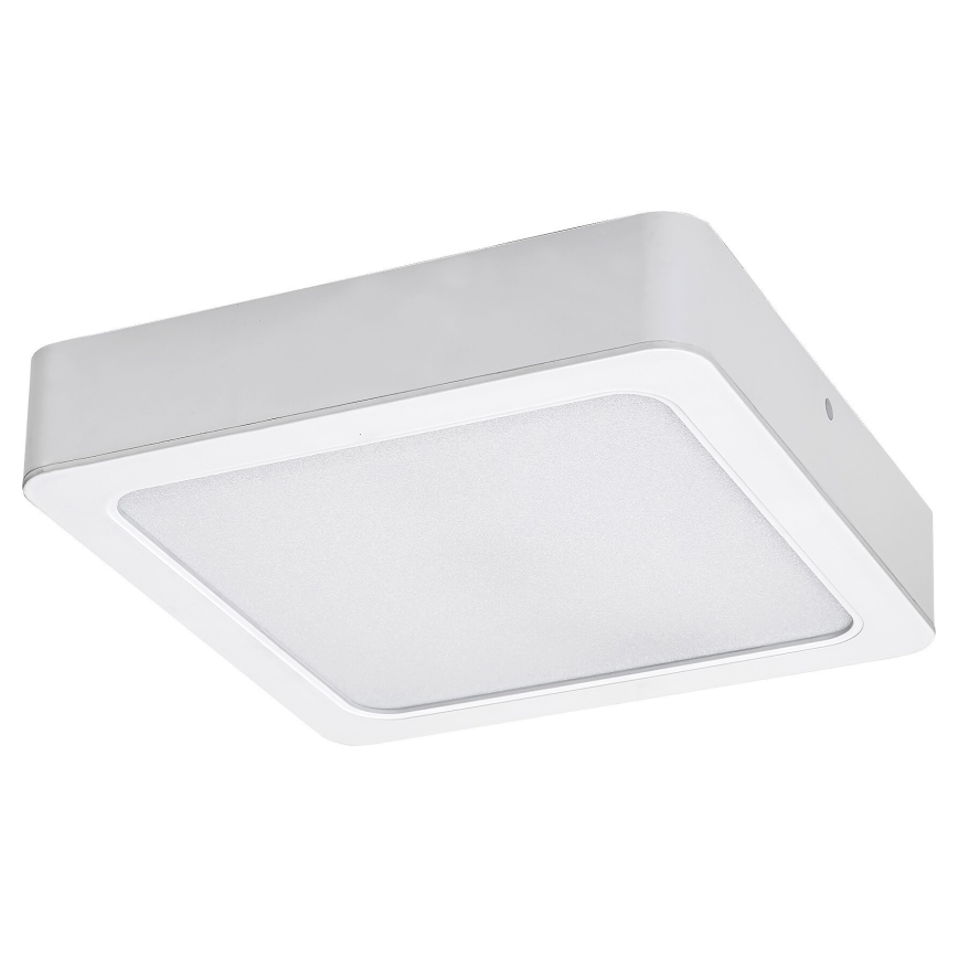 Rabalux - LED Stropna svetilka LED/7W/230V 4000K 12x12 cm bela