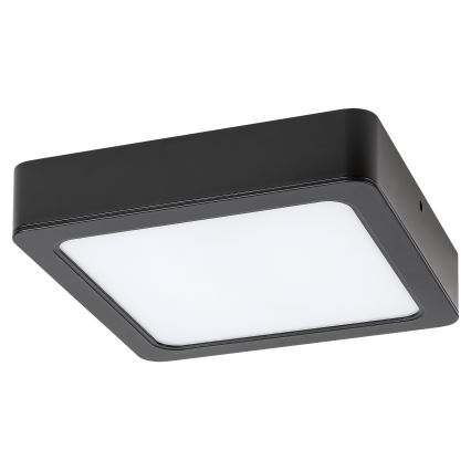 Rabalux - LED Stropna svetilka LED/7W/230V 4000K 12x12 cm črna