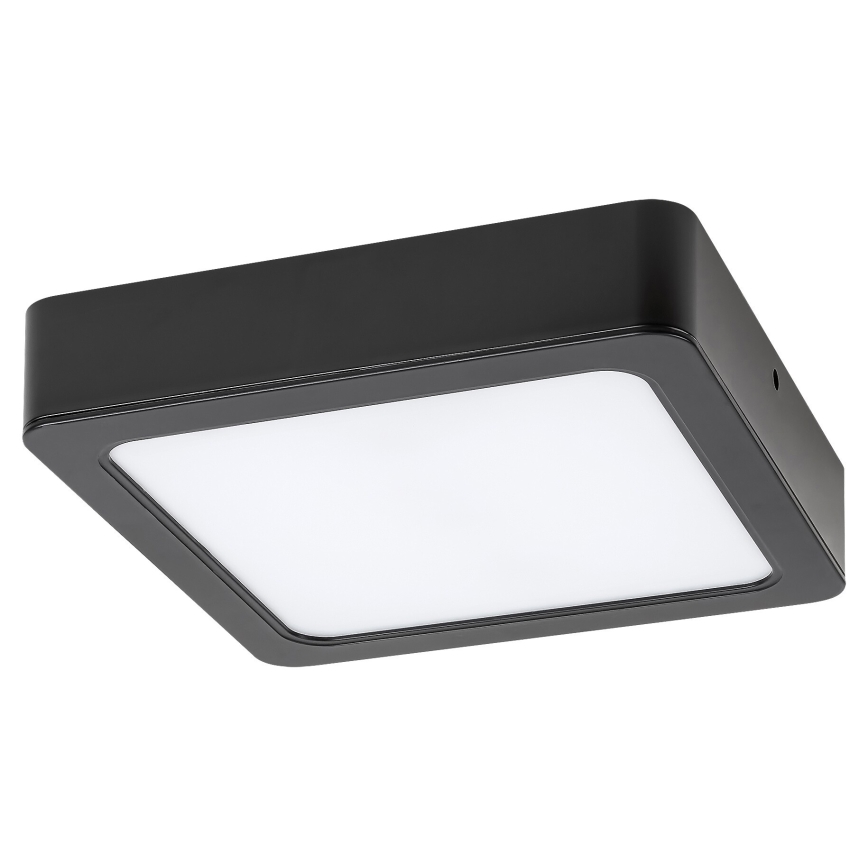 Rabalux - LED Stropna svetilka LED/7W/230V 4000K 12x12 cm črna