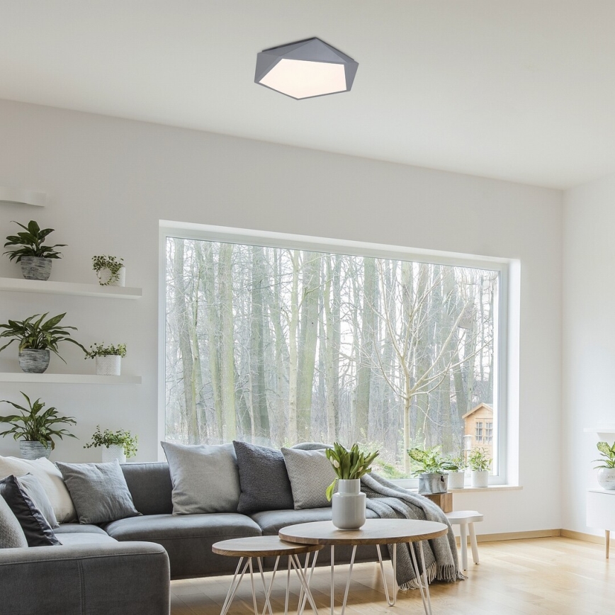 Rabalux - LED Stropna svetilka LED/30W/230V 3000K