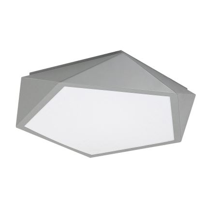 Rabalux - LED Stropna svetilka LED/30W/230V 3000K
