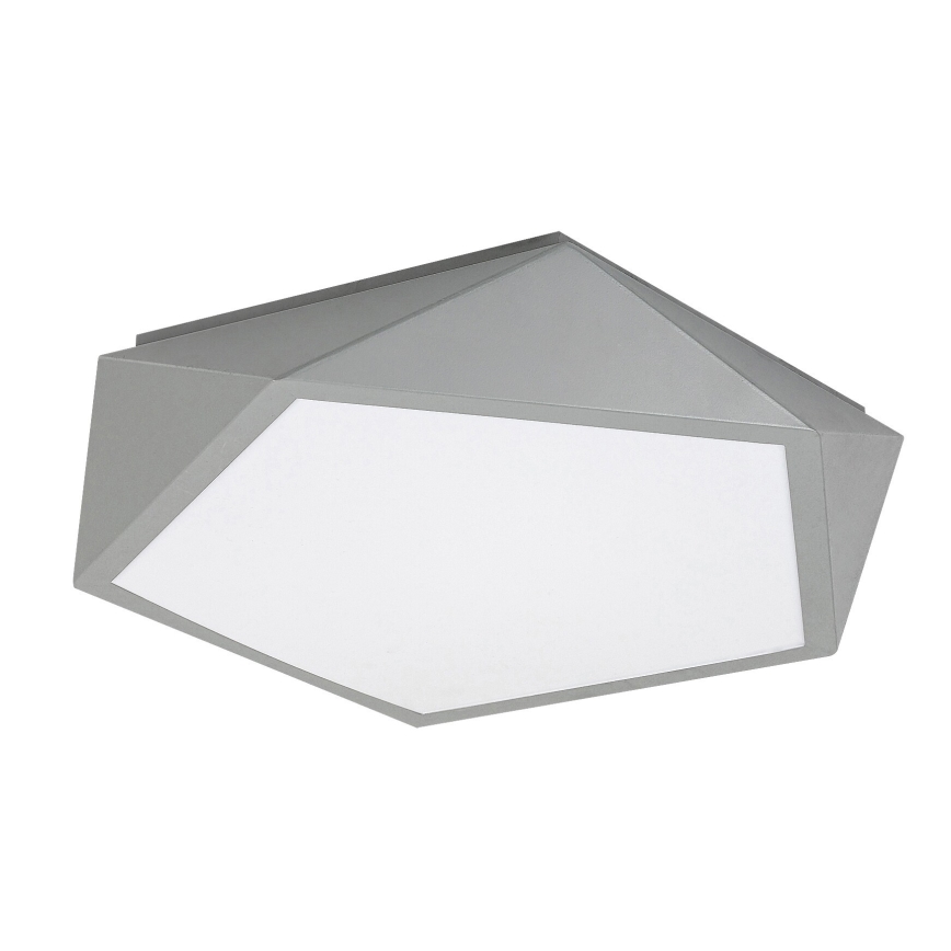 Rabalux - LED Stropna svetilka LED/30W/230V 3000K