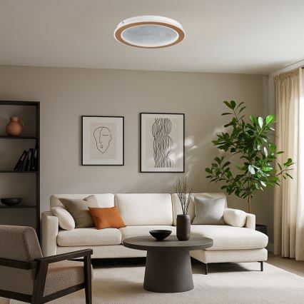 Rabalux - LED stropna svetilka z zatemnjevanjem LED/24W/230V 3000-6500K Ø 40 cm + daljinski upravljalnik
