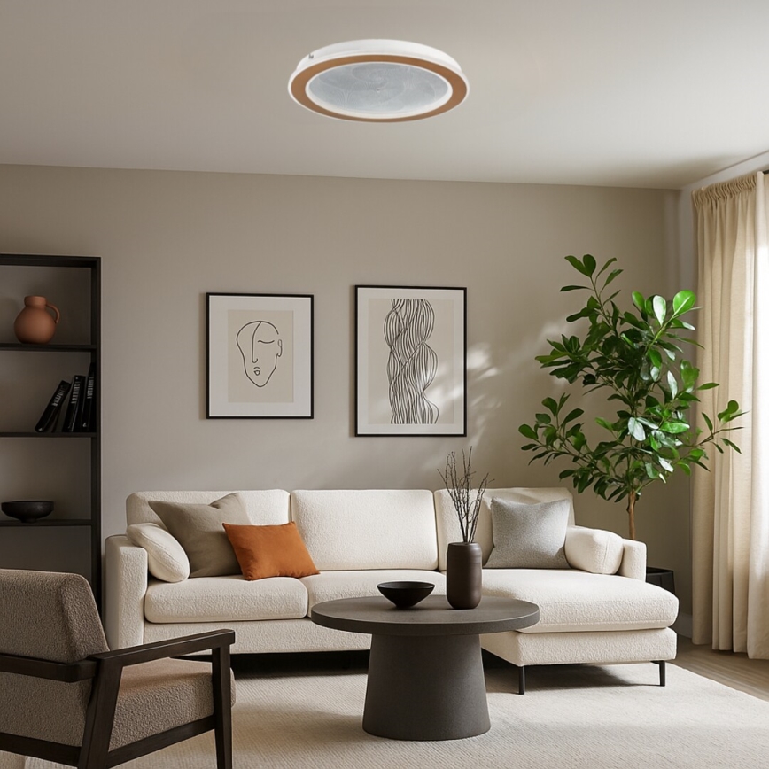 Rabalux - LED stropna svetilka z zatemnjevanjem LED/24W/230V 3000-6500K Ø 40 cm + daljinski upravljalnik