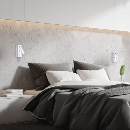 Rabalux - LED Stenski reflektor LED/4W/230V bela