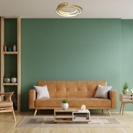 Rabalux - LED Stropna svetilka LED/50W/230V