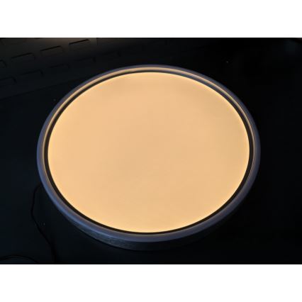 Rabalux - LED Stropna svetilka LED/37W/230V