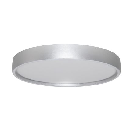 Rabalux - LED Stropna svetilka LED/37W/230V