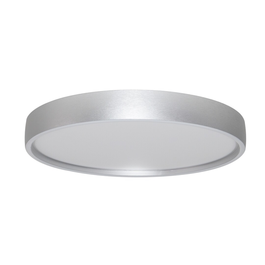 Rabalux - LED Stropna svetilka LED/37W/230V