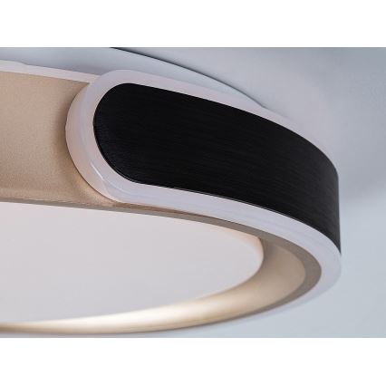 Rabalux - LED Zatemnitvena stropna svetilka LED/48W/230V 3000-6500K + Daljinski upravljalnik