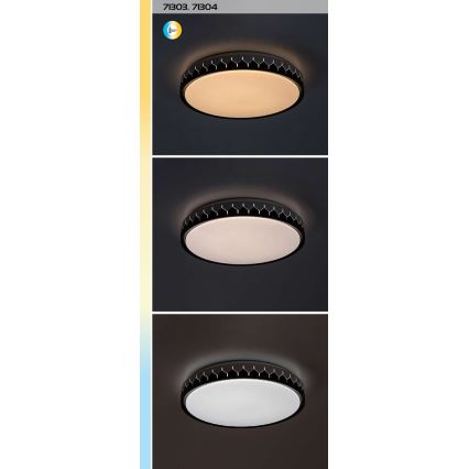 Rabalux - LED Zatemnitvena stropna svetilka LED/48W/230V 3000-6500K + Daljinski upravljalnik