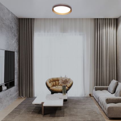 Rabalux - LED Zatemnitvena stropna svetilka LED/48W/230V 3000-6500K + Daljinski upravljalnik
