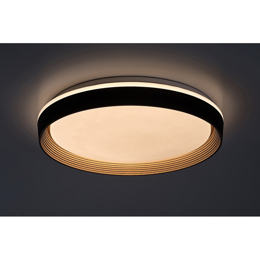 Rabalux - LED Zatemnitvena stropna svetilka LED/48W/230V 3000-6500K + Daljinski upravljalnik