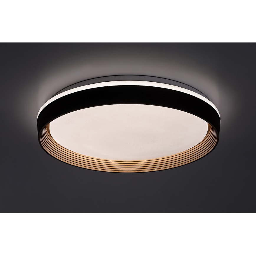 Rabalux - LED Zatemnitvena stropna svetilka LED/48W/230V 3000-6500K + Daljinski upravljalnik