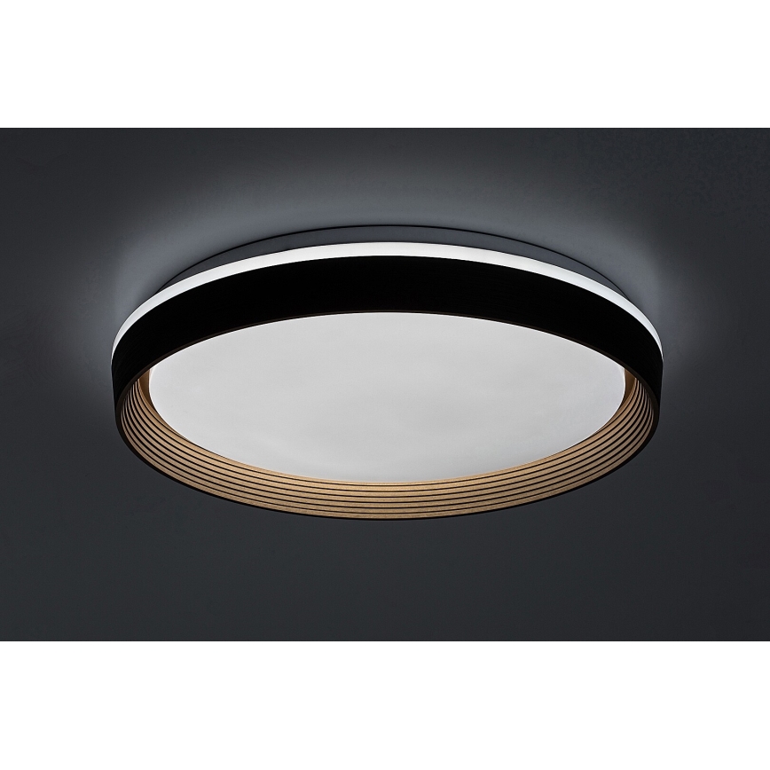 Rabalux - LED Zatemnitvena stropna svetilka LED/48W/230V 3000-6500K + Daljinski upravljalnik