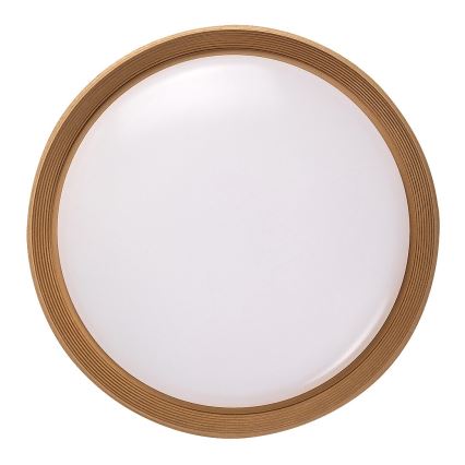 Rabalux - LED Zatemnitvena stropna svetilka LED/48W/230V 3000-6500K + Daljinski upravljalnik