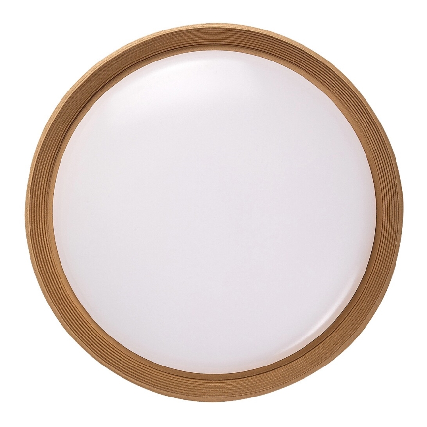 Rabalux - LED Zatemnitvena stropna svetilka LED/48W/230V 3000-6500K + Daljinski upravljalnik
