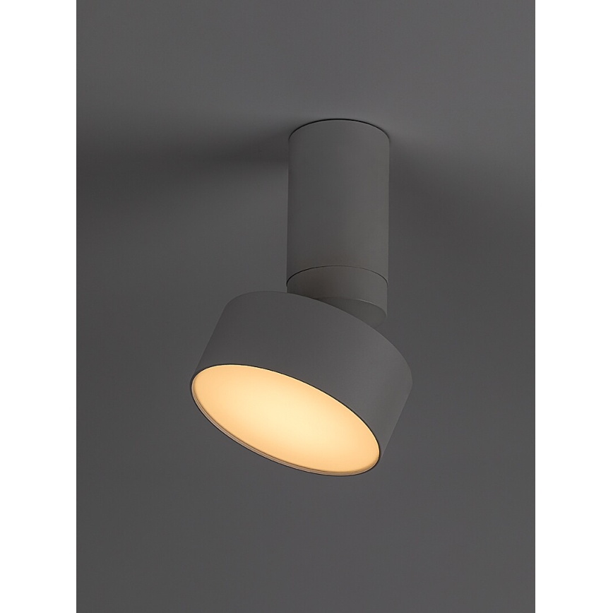 Rabalux - LED Stropna svetilka LED/10W/230V 3000K bela