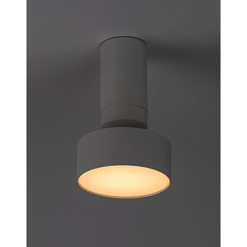 Rabalux - LED Stropna svetilka LED/10W/230V 3000K bela