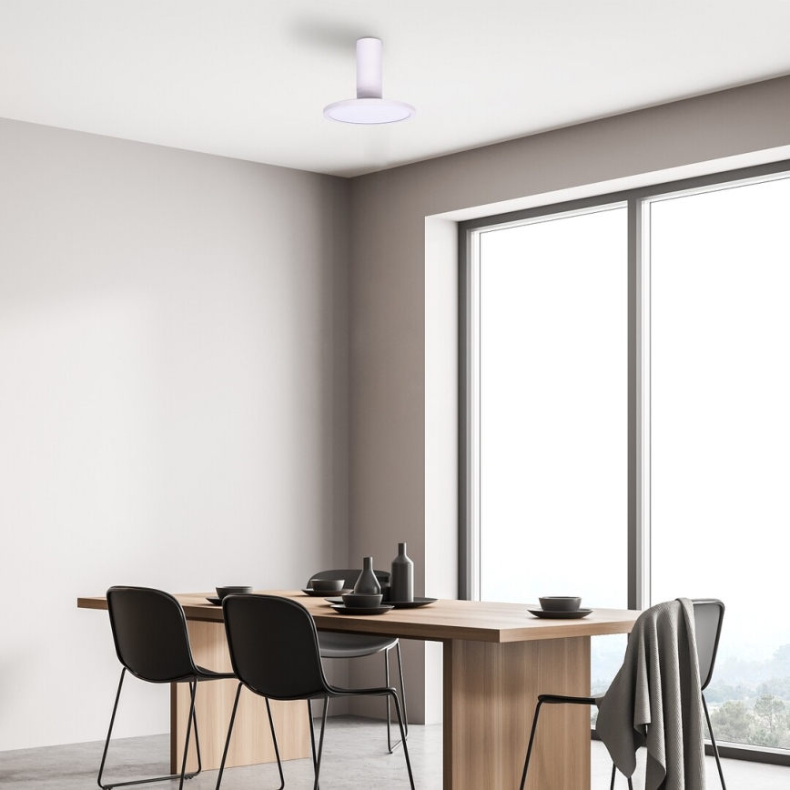 Rabalux - LED Stropna svetilka LED/20W/230V 3000K bela