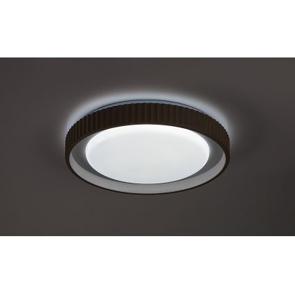 Rabalux - LED zatemnjiva stropna svetilka LED/48W/230V 3000-6500K premer 49,5 cm + daljinski upravljalnik