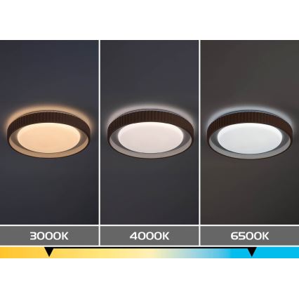 Rabalux - LED zatemnjiva stropna svetilka LED/48W/230V 3000-6500K premer 49,5 cm + daljinski upravljalnik