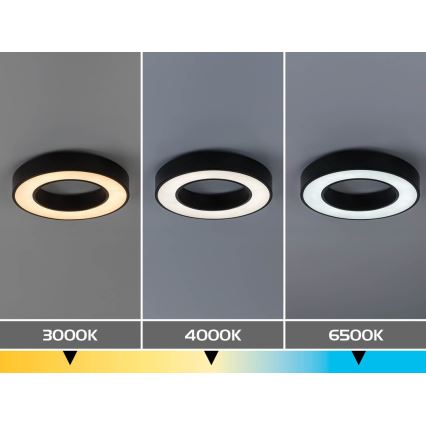 Rabalux - LED stropna svetilka LED/24W/230V 3000/4000/6500K premer 40 cm črna