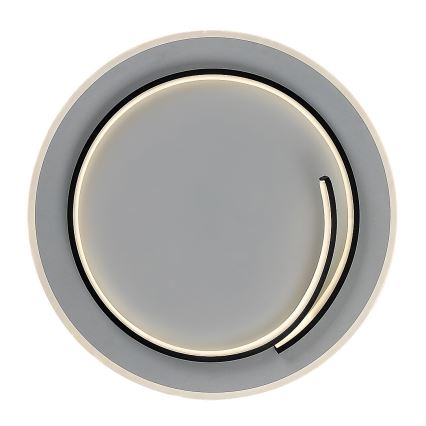 Rabalux - LED Stropna svetilka LED/40W/230V 4000K