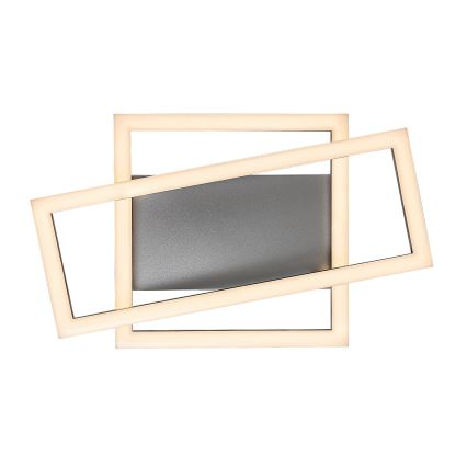 Rabalux - LED Stropna svetilka LED/24W/230V 3000K
