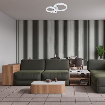 Rabalux - LED stropna svetilka LED/24W/230V 3000/4000/6500K 38x51 cm matni krom