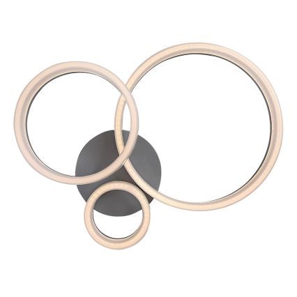 Rabalux - LED stropna svetilka LED/24W/230V 3000/4000/6500K 38x51 cm matni krom