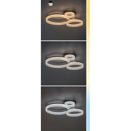 Rabalux - LED stropna svetilka LED/24W/230V 3000/4000/6500K 38x51 cm matni krom