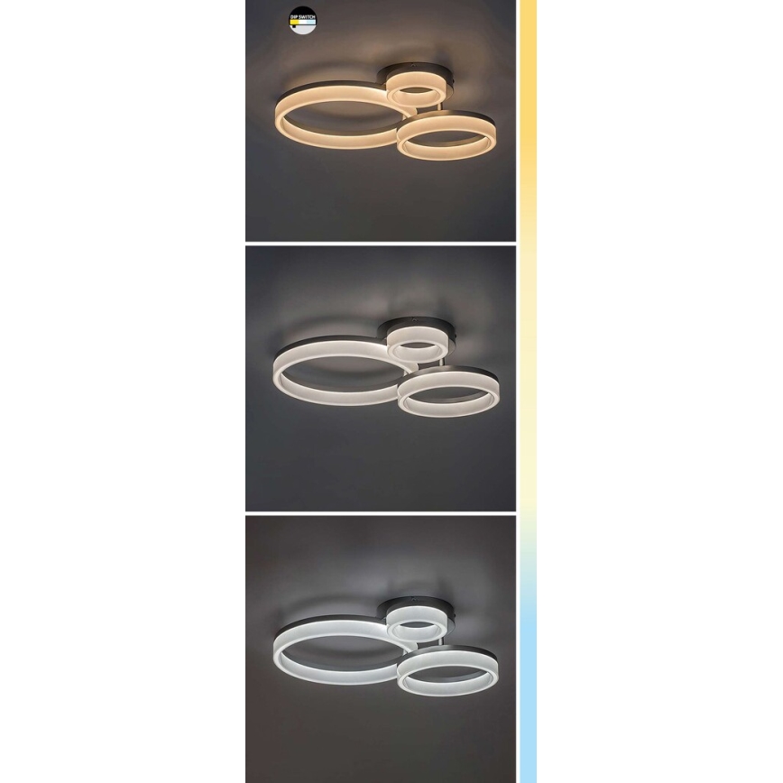 Rabalux - LED stropna svetilka LED/24W/230V 3000/4000/6500K 38x51 cm matni krom