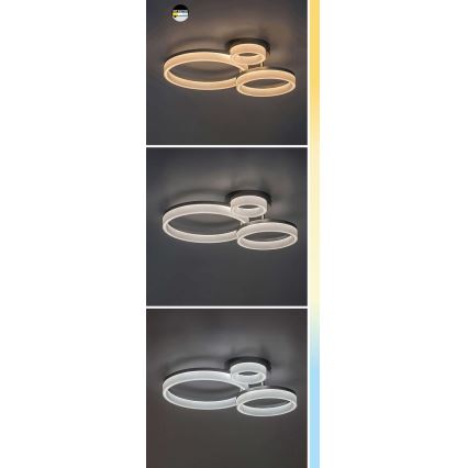 Rabalux - LED Stropna svetilka LED/24W/230V 3000/4000/6500K črna