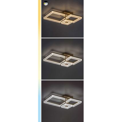 Rabalux - LED Stropna svetilka LED/22W/230V 3000/4000/6500K črna