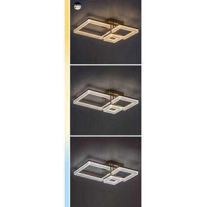 Rabalux - LED Stropna svetilka LED/22W/230V 3000/4000/6500K mat krom