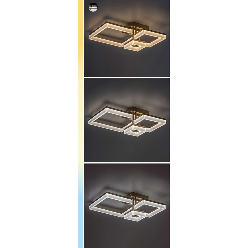 Rabalux - LED Stropna svetilka LED/22W/230V 3000/4000/6500K mat krom