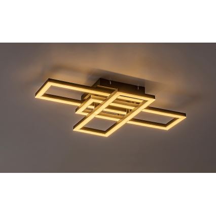 Rabalux - Zatemnjiva LED stropna svetilka LED/40W/230V 3000-6500K + daljinski upravljalnik 35x50 cm